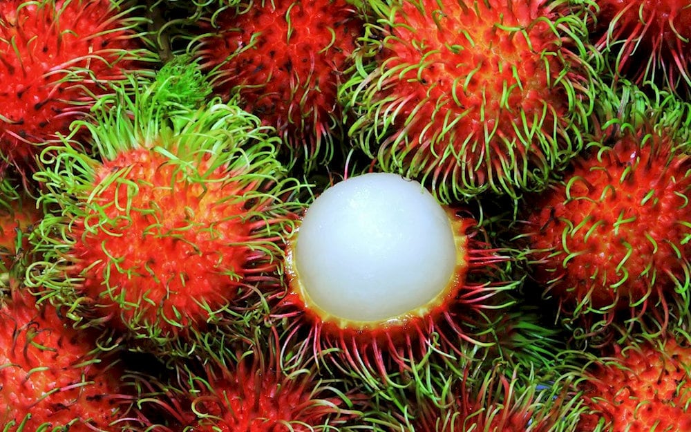 Rambutan may appear to be weird, but it is nutritious and rich in flavour